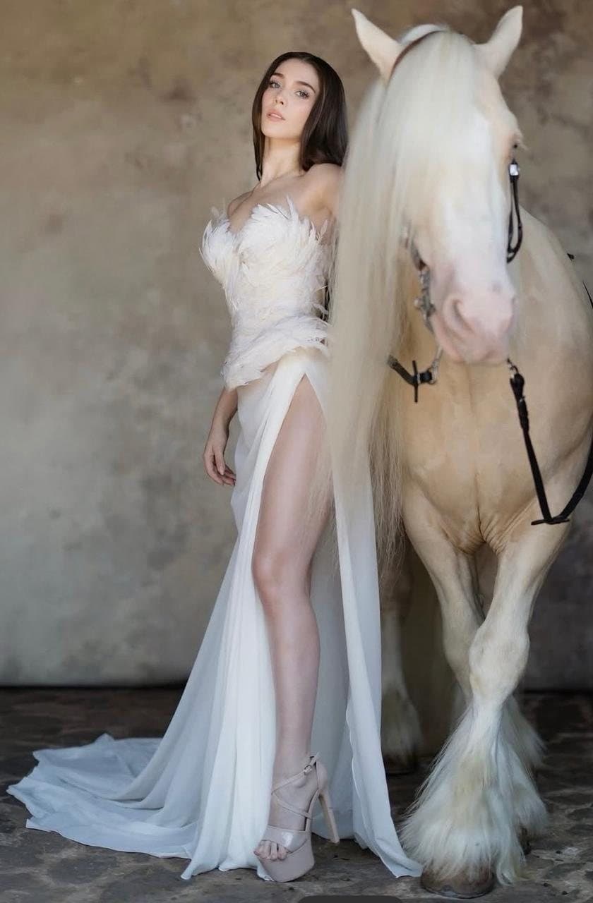 Sesión editorial con Gypsy Vanner en estudio