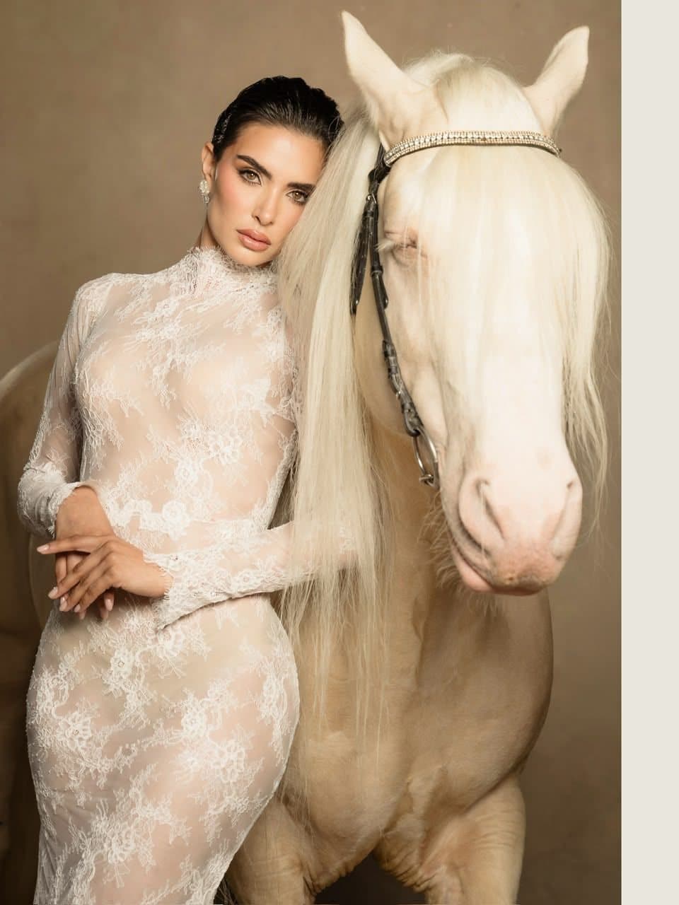 Sesión de estudio con Gypsy Vanner cremello