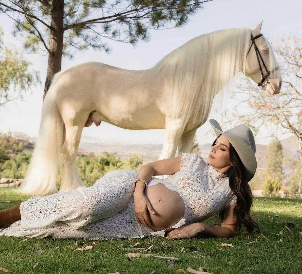 Gypsy Vanner en la pradera durante una sesión editorial