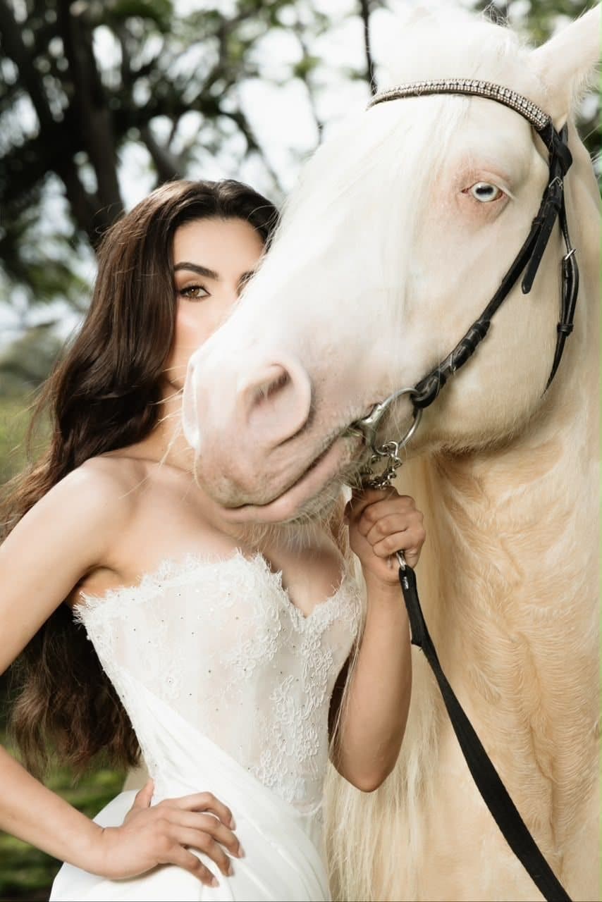 Retrato cercano con Gypsy Vanner cremello