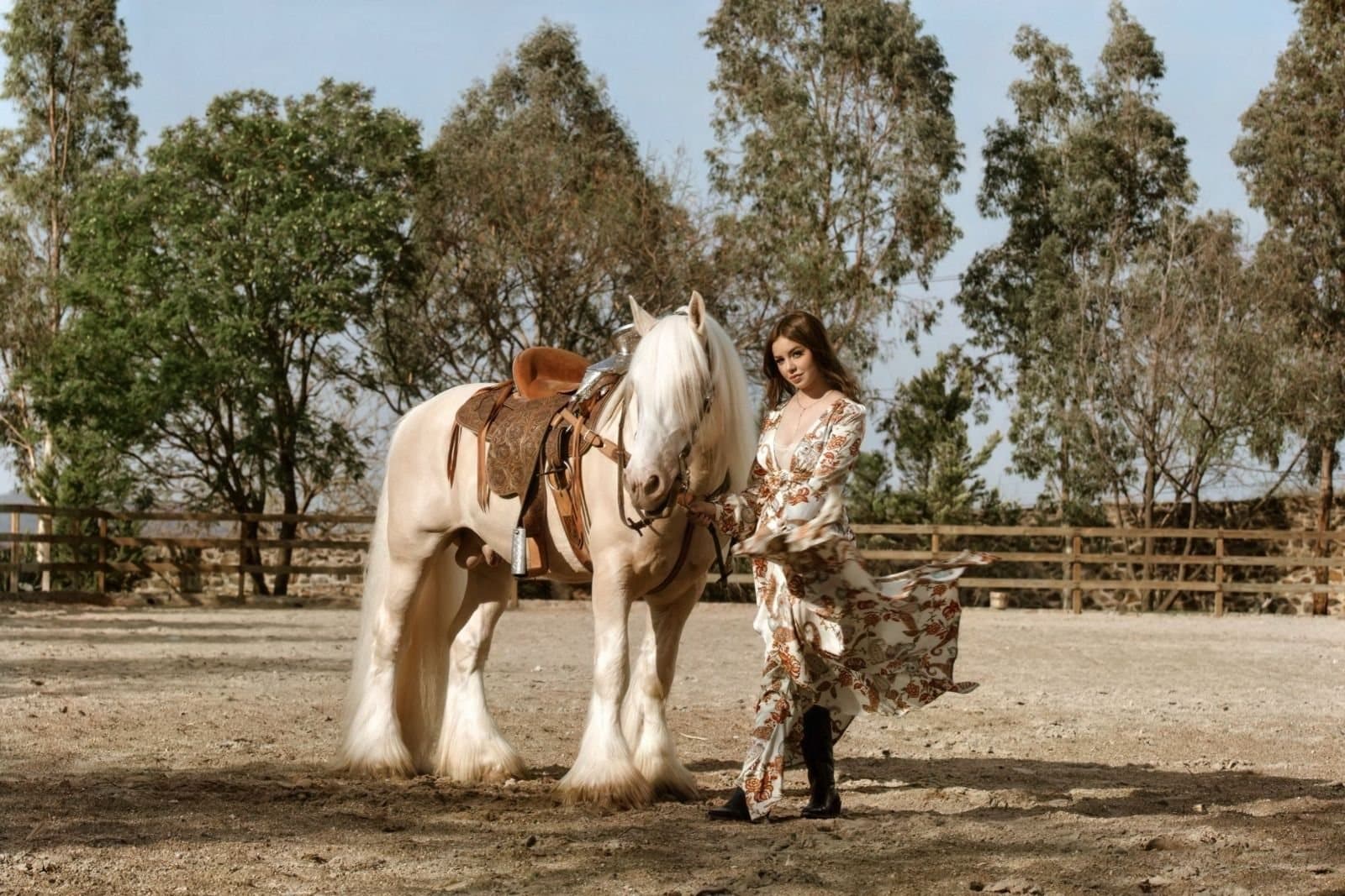 Gypsy Vanner pinto ensillado en el corral