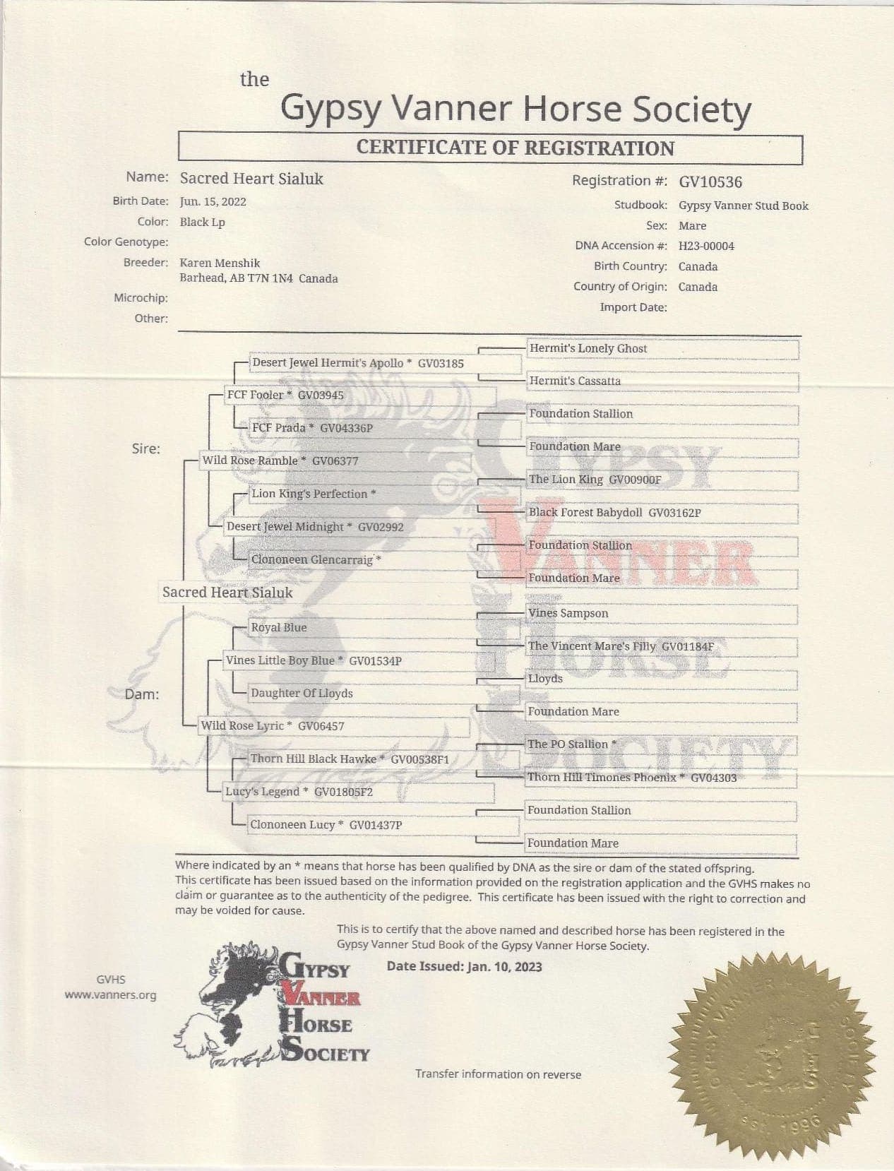 Ejemplo del certificado oficial GVHS